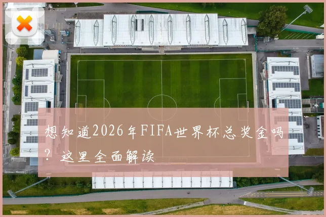 想知道2026年FIFA世界杯总奖金吗？这里全面解读