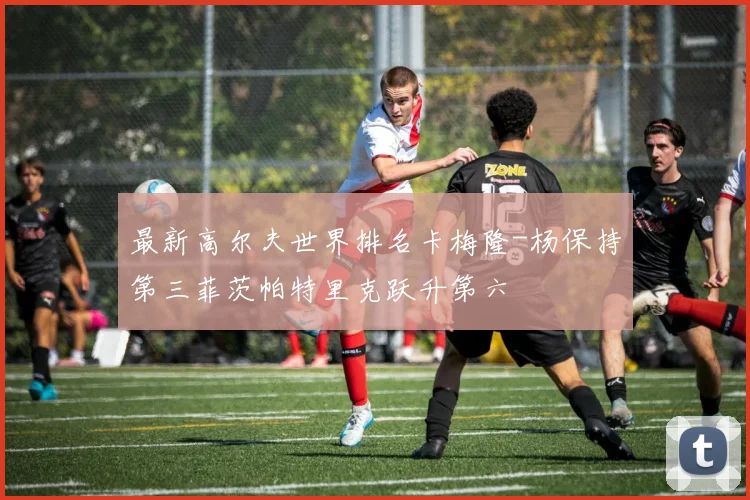 最新高尔夫世界排名卡梅隆-杨保持第三菲茨帕特里克跃升第六
